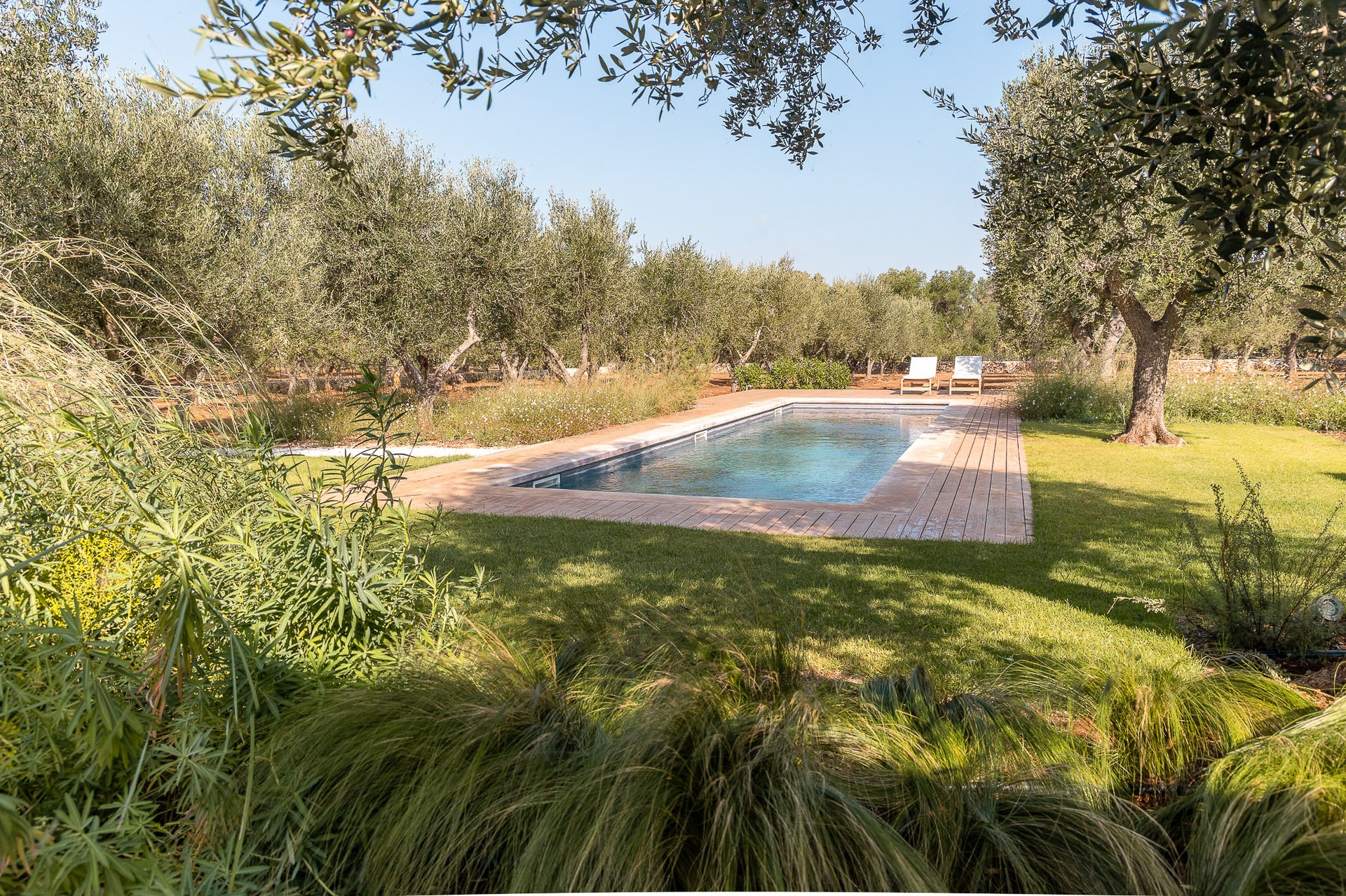 Trulli Musone, Ostuni