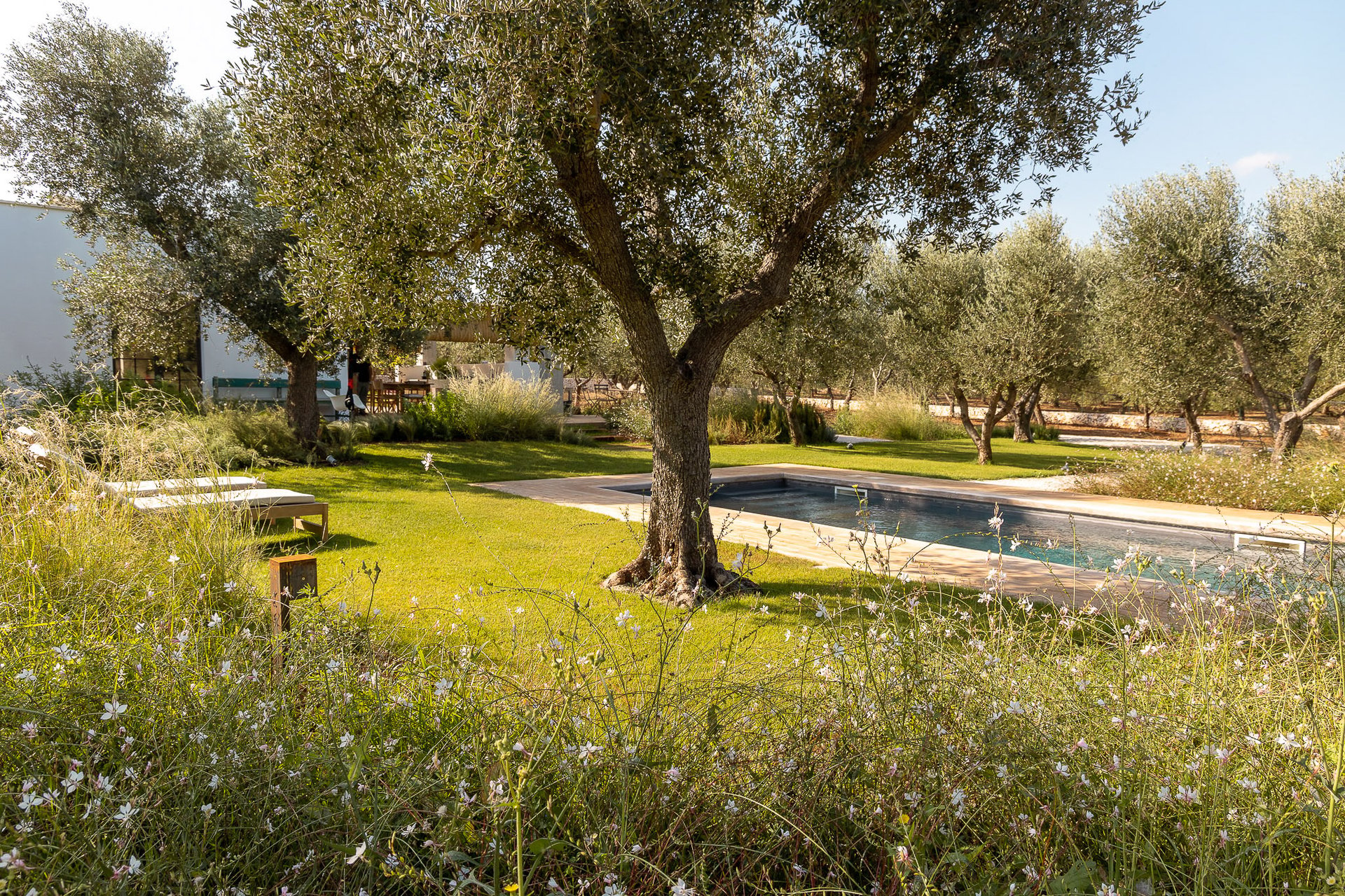 Trulli Musone, Ostuni