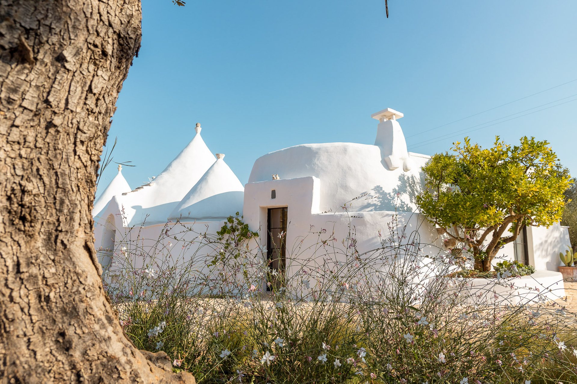 Trulli Musone, Ostuni