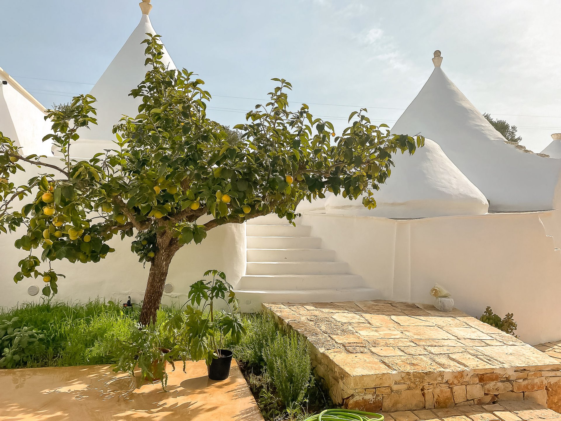 Trulli Musone, Ostuni